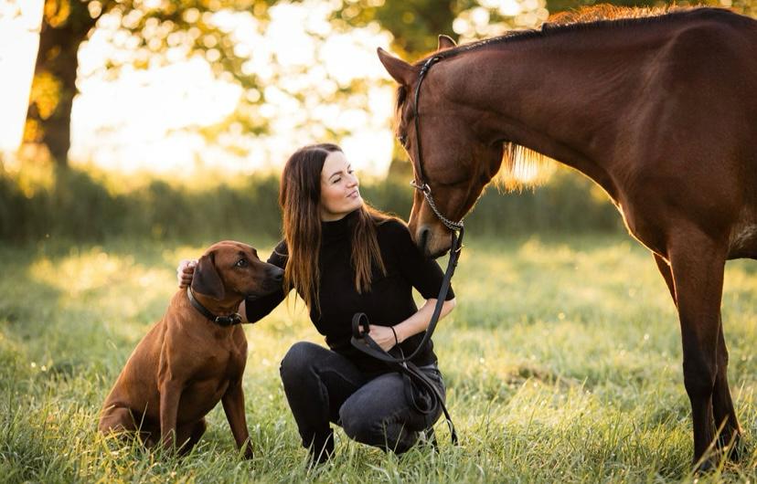 Laetitia Collet avec un cheval arabe et un Rhodesian Ridgeback au coucher du soleil