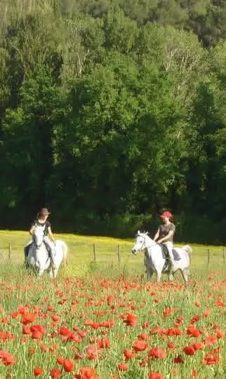 Balade à cheval dans un champ de coquelicots chez Monica Savier